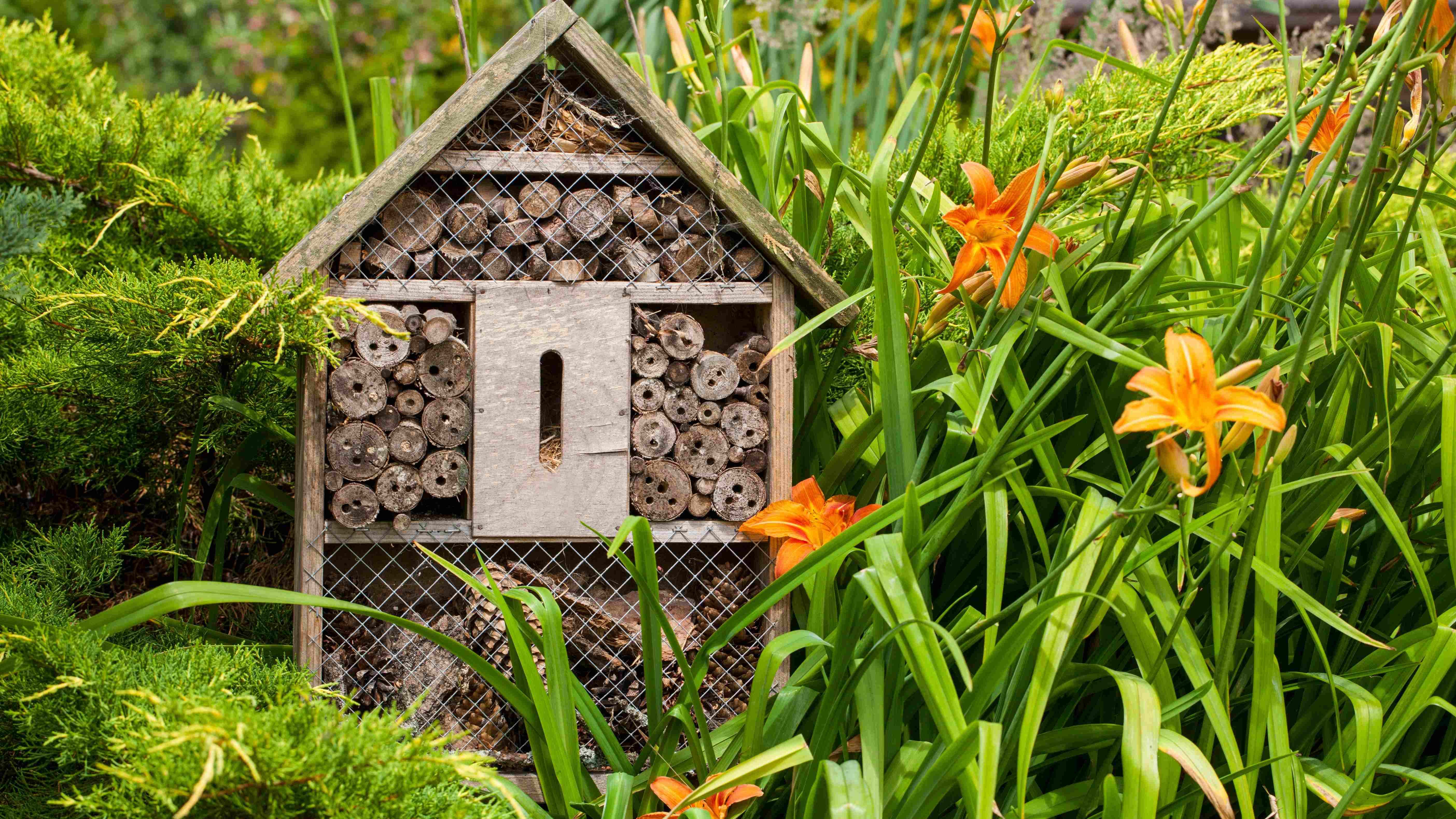 Installer un hotel à insectes au jardin bio, pourquoi, comment