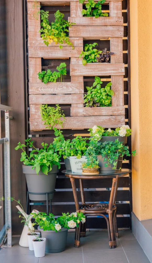 ¿Cómo hacer un jardín vertical con palets?