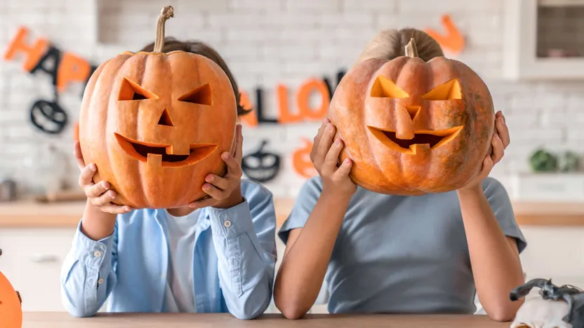 Tout le programme d'octobre pour la maison et le jardin