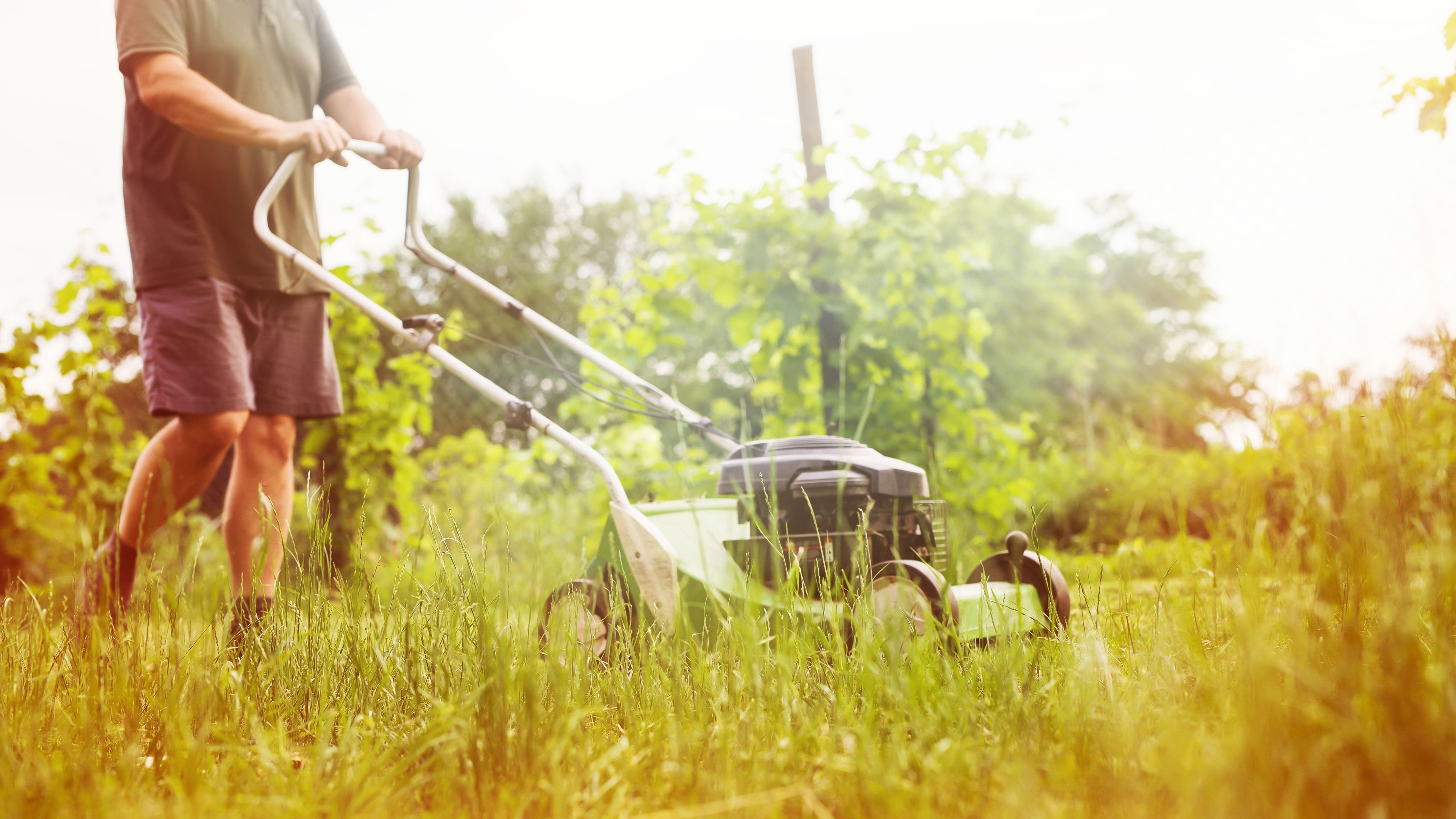 Giardino fai da te: come scegliere il tagliaerba elettrico