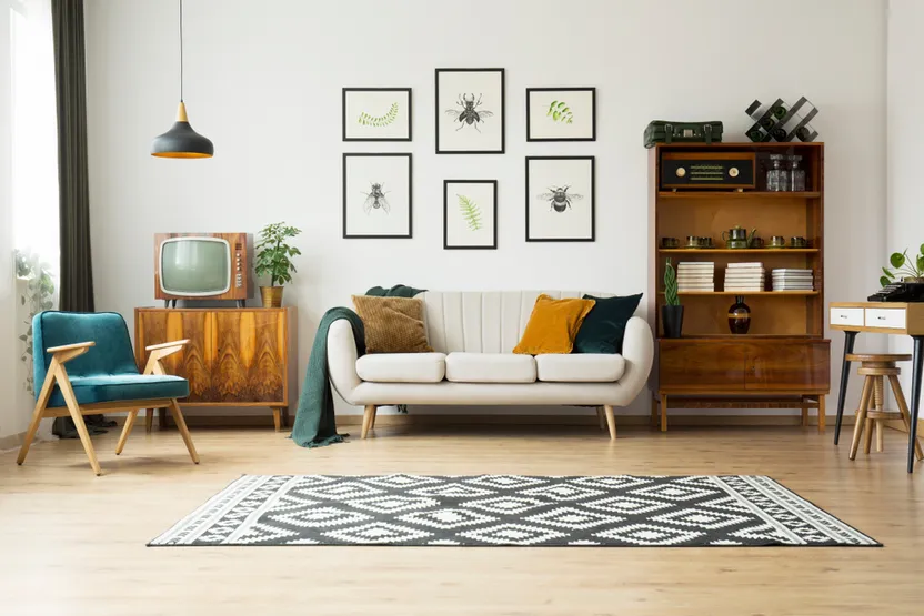 Living room rug ideas