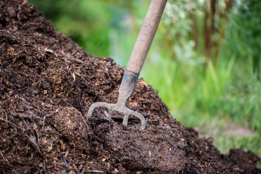 Entretien du potager en automne