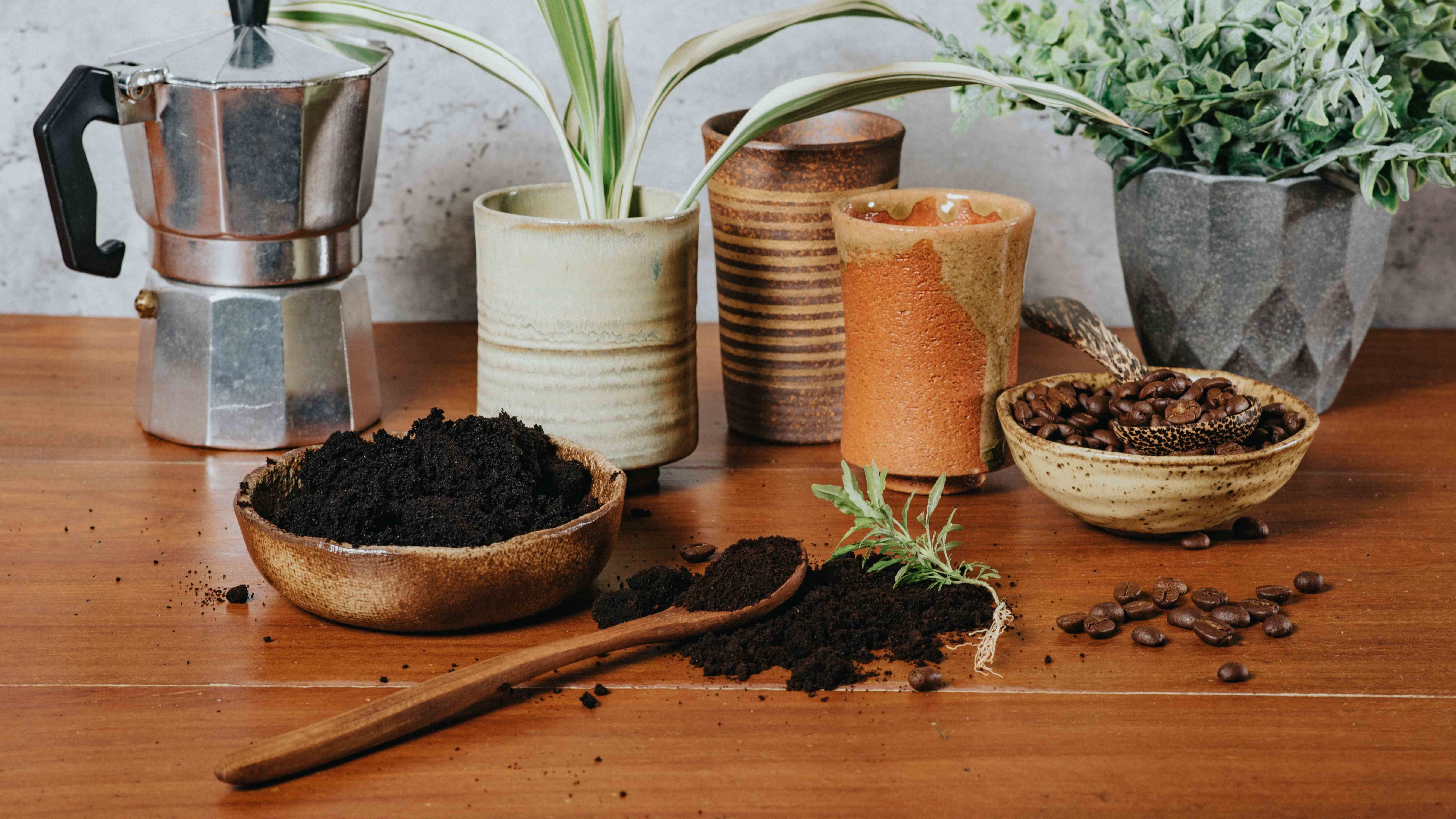 How to reuse your coffee grounds