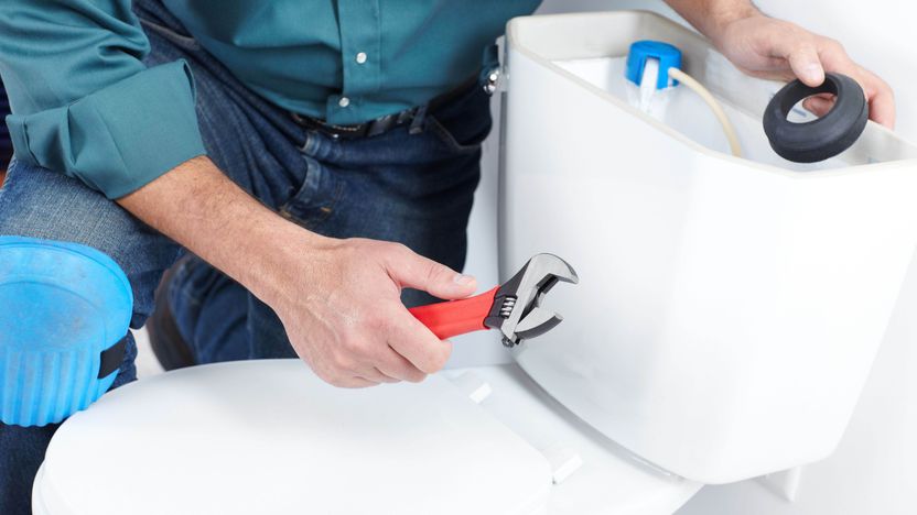 How to change a push button toilet flush