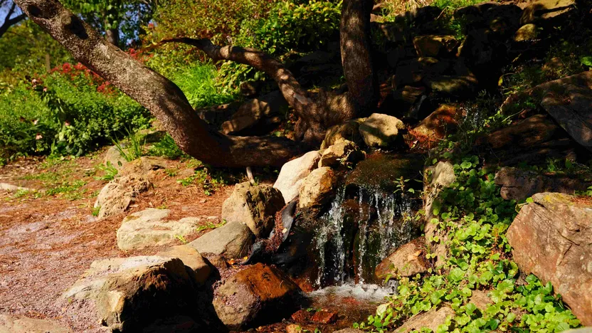 Come sistemare un laghetto da giardino