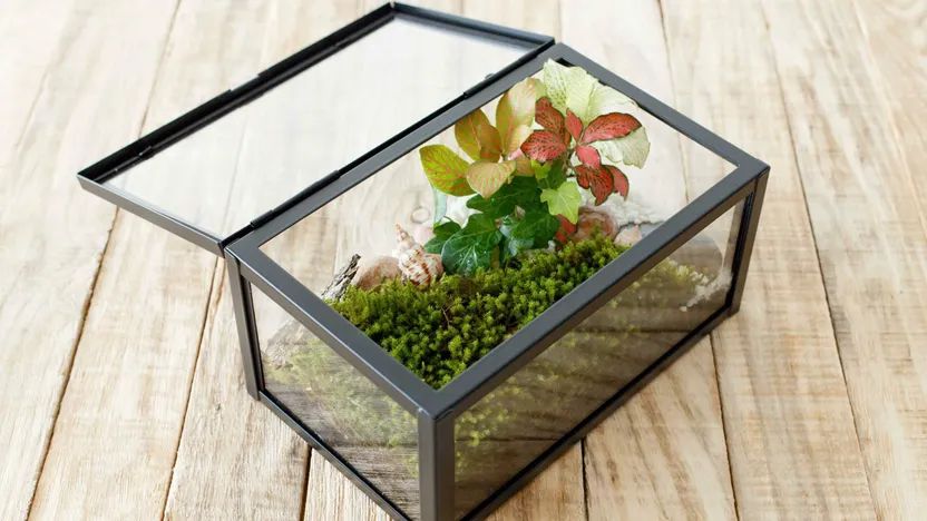 Comment choisir une serre de balcon ?