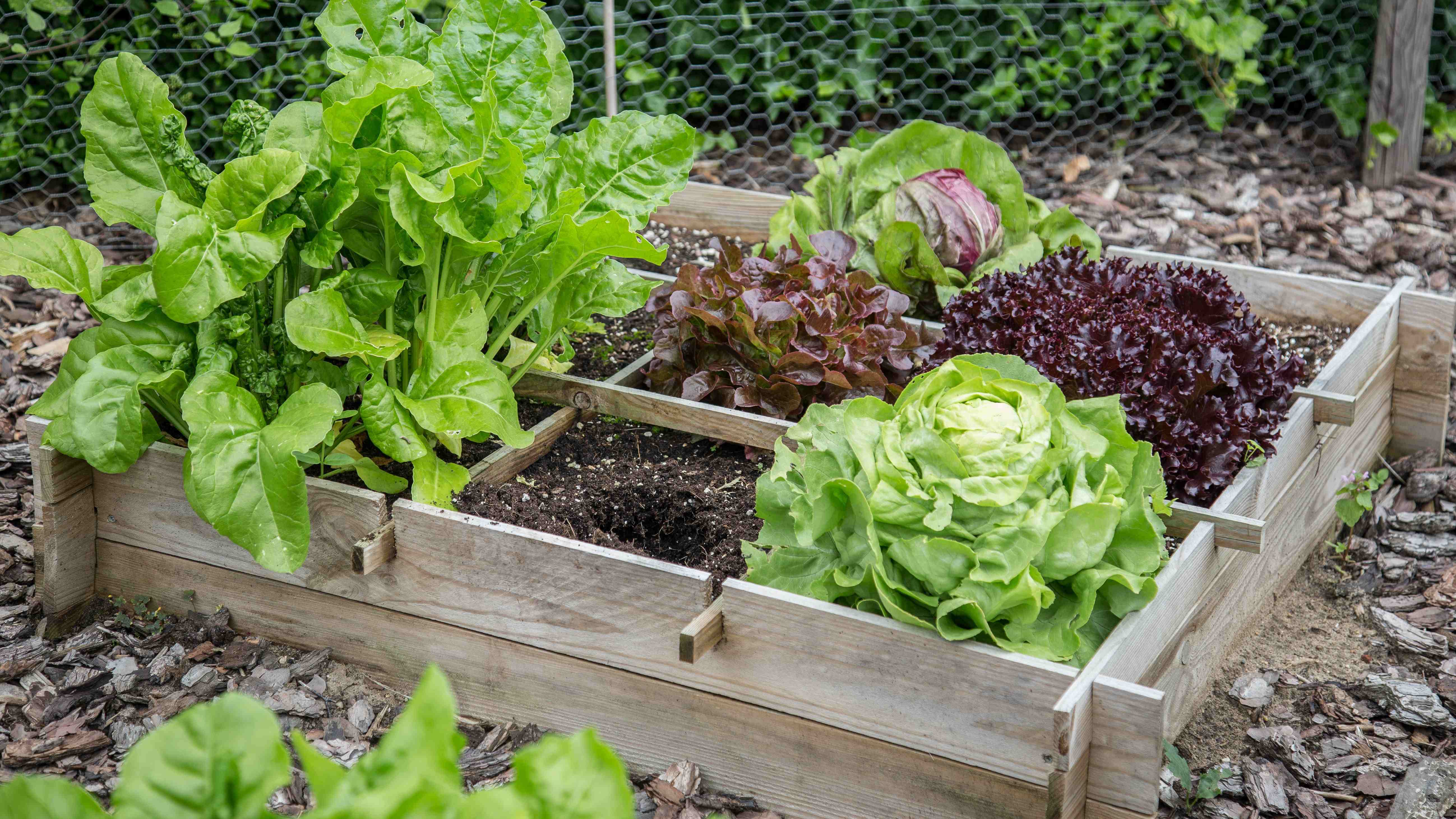How to set up a raised garden bed