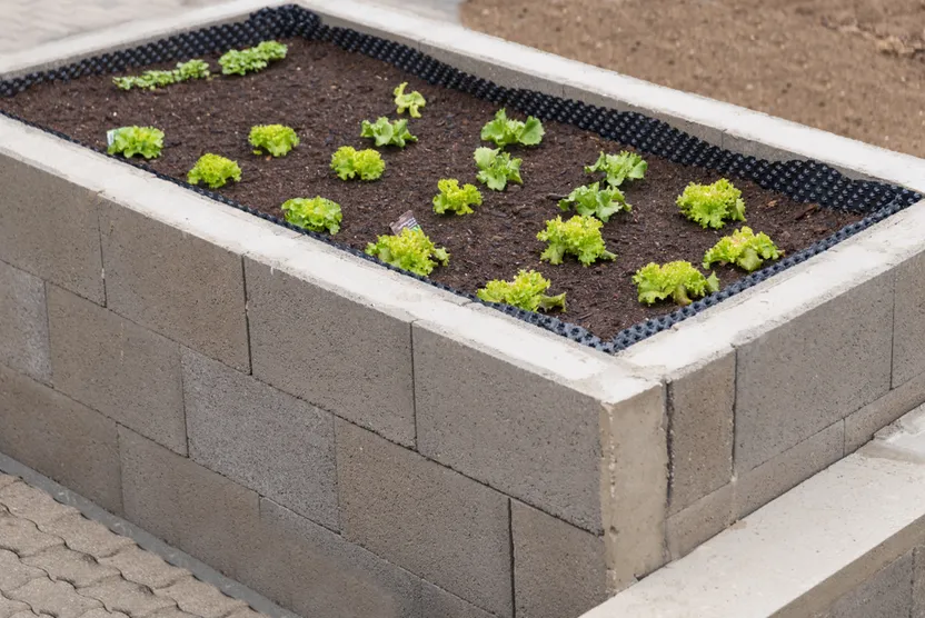 Ein Hochbeet aus Stein bauen: So geht's