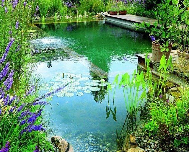 10 steps to building your own natural swimming pool