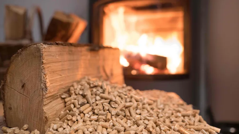 Biomass heating systems: what are the options?
