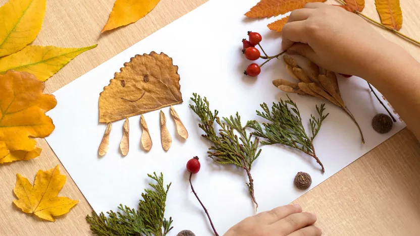 Tout le programme de novembre pour la maison et le jardin