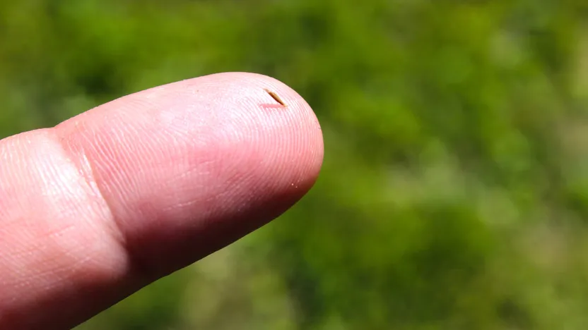 Comment échapper aux échardes sur sa terrasse