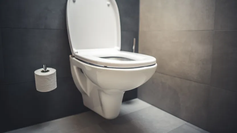 So finden Sie das richtige Hänge-WC