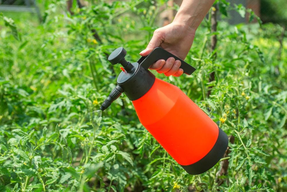 Cómo elegir  insecticidas para el huerto