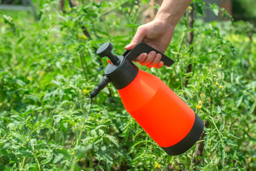 Cómo elegir insecticidas para el huerto