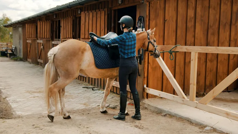 Come scegliere una sella da cavallo