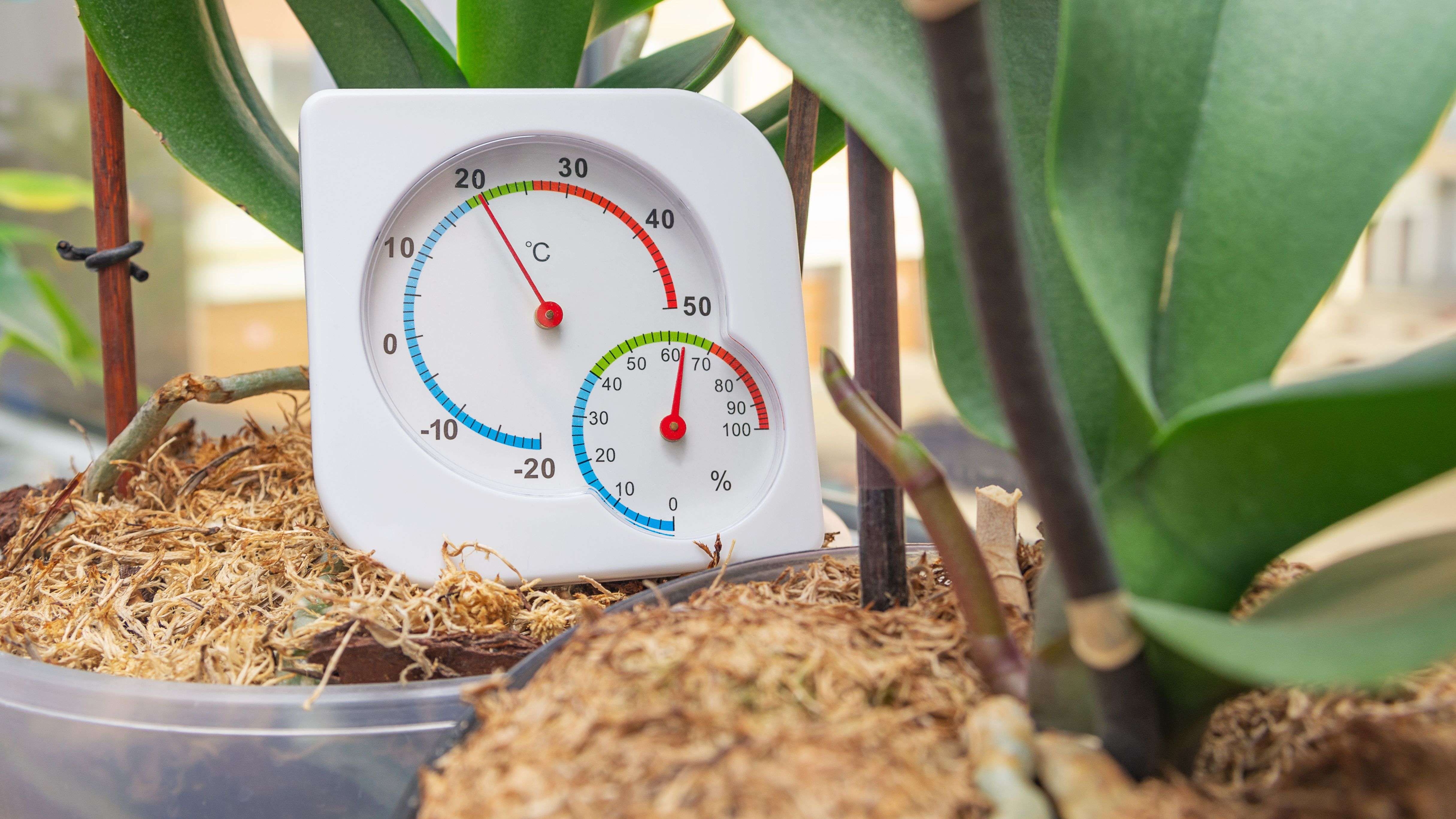 Thermomètre de jardin : comment choisir 
