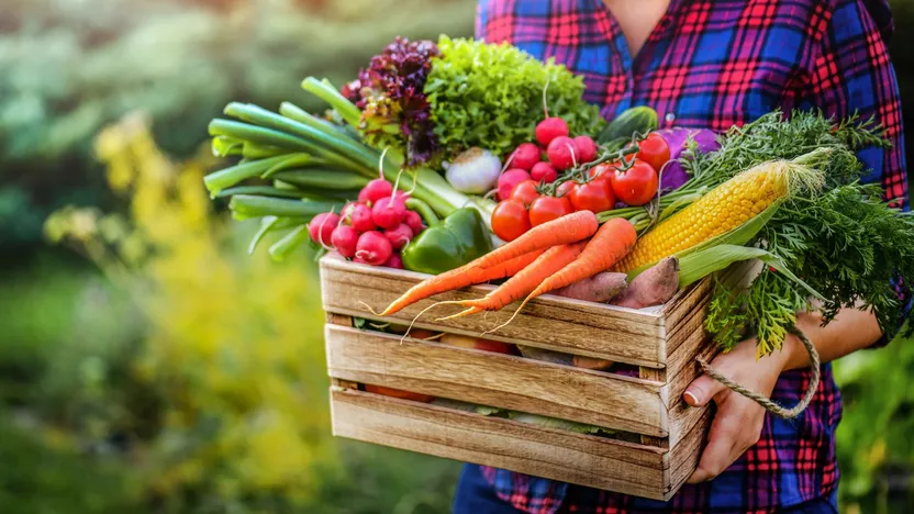 Fruit and vegetable growing calendar