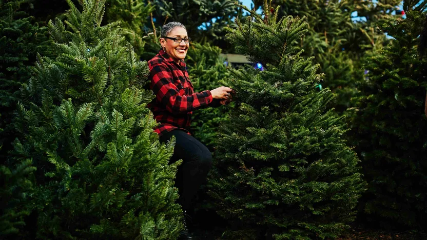 So finden Sie den richtigen Weihnachtsbaum