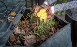 Nastro Floreale Verde Per Fiori - Rotolo Da 27 Metri, Carta Crespa Autosigillante - Per Bouquet, Composizioni, Regali