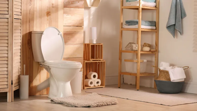 Come scegliere gli accessori della toilette