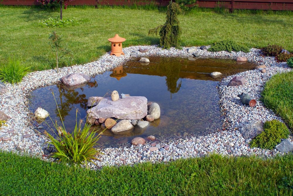 Créer un bassin de jardin
