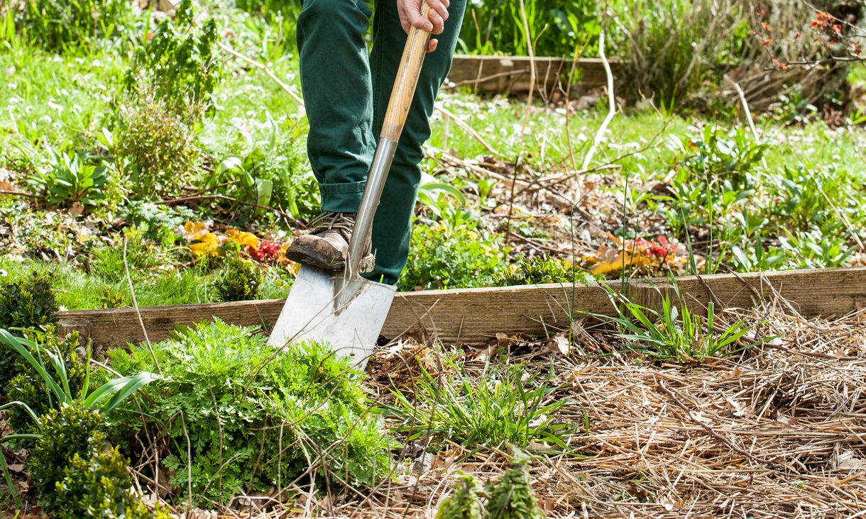 Comment tracer les parcelles du potager