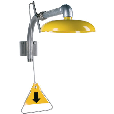 MEDICLINICS 3813-3887 KRUSMAN Ducha de Emergencia Mural con Cabezal de Acero Inox - ref: 3813-3887