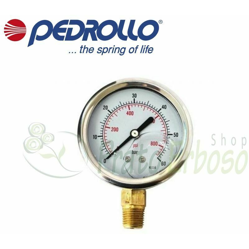 

Pedrollo - Medidor de presión de 0 a 6 bar en baño de glicerina