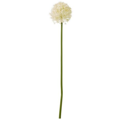 Medium Allium (Single Stem Flower) - Plastic - L16 x W16 x H80 cm - Cream