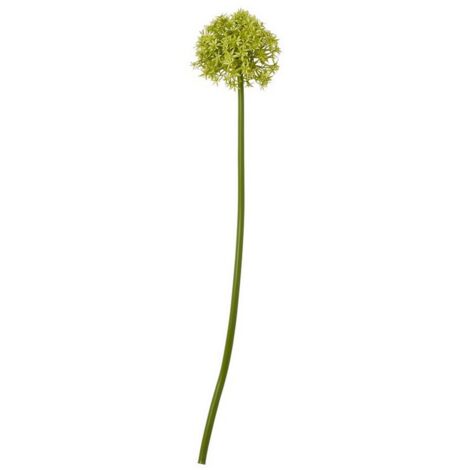 Medium Allium (Single Stem Flower) - Plastic - L16 x W16 x H80 cm - Green