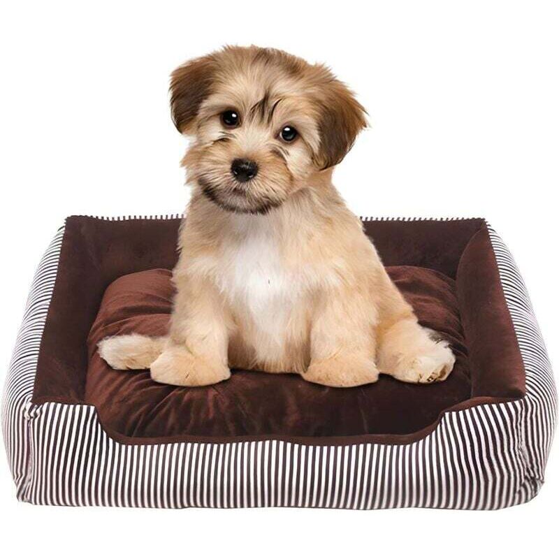 Ymyny - Medium Dog Bed, Washable Non-Slip Orthopedic Dog Bed, Raised Edge Dog Bed, Ergonomic Dog Sofa, with Reversible Cushion, Suitable for Small