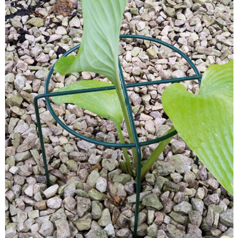 Medium Simple Ring (Pack of 4) - Steel - L40.6 x W40.6 x H50.8 cm - Green