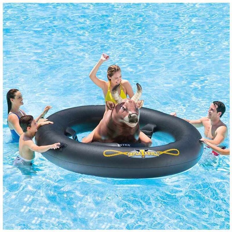 Toro Cabalcabile Intex Cm 293X196X81H