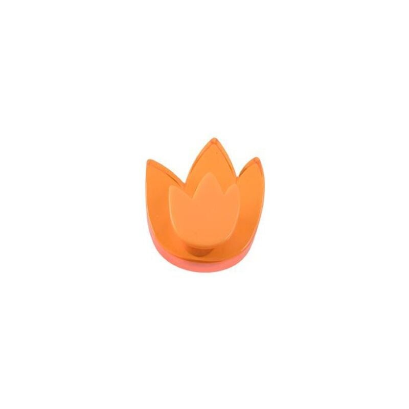 

Tulipan naranja metacrilato 665na