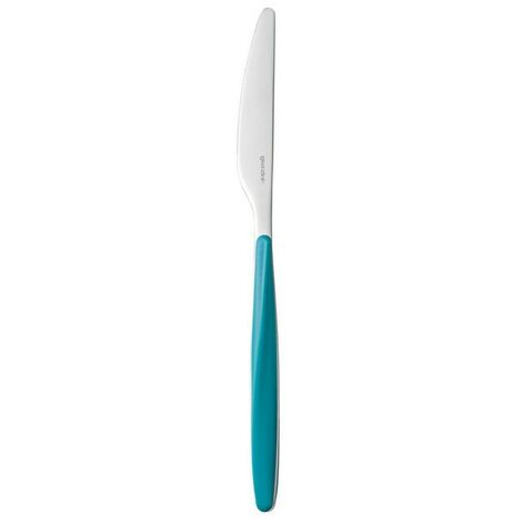 Mein Fusion Guzzini türkisfarbenes Messer