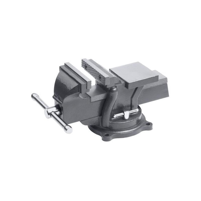 Etau base tournable 100 mm - Meister