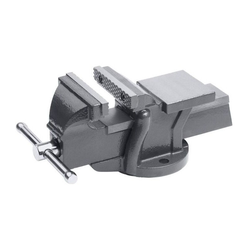 Etau fixe 150 mm Meister Mors interchangeables en acier trempé - TÜV-GS-testé