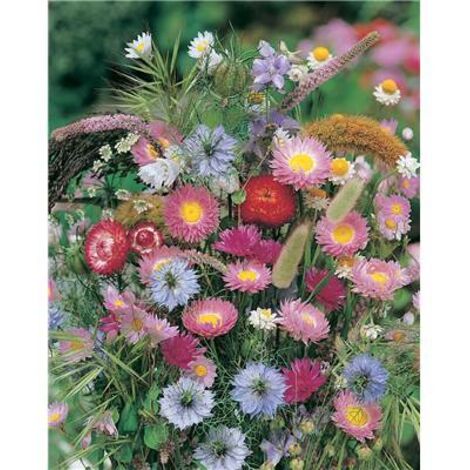 MELANGE BOUQUETS SECS - 2 G - Graines