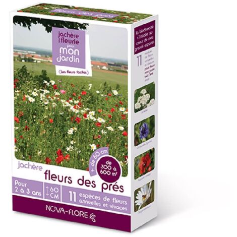 Mélange de fleurs des prés 300 à 600 m2 – Période de semis de mars à juin – Floraison durable et esthétique – Attire pollinisateurs – Achat Nature