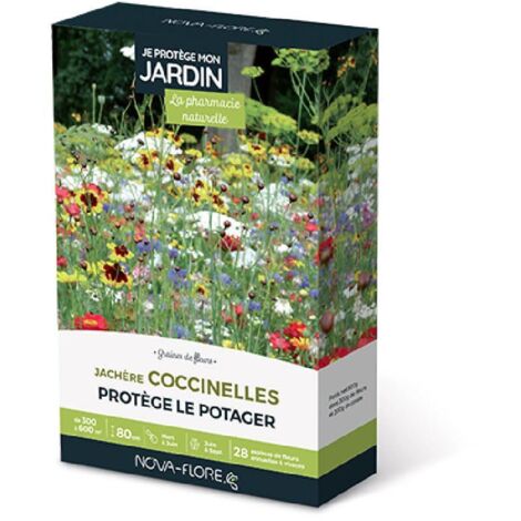 Mélange de fleurs pour prairies fleuries – Attire coccinelles – 28 espèces – Hauteur 80 cm – Semis de mars à juin – Floraison de juin à septembre – Novaflore