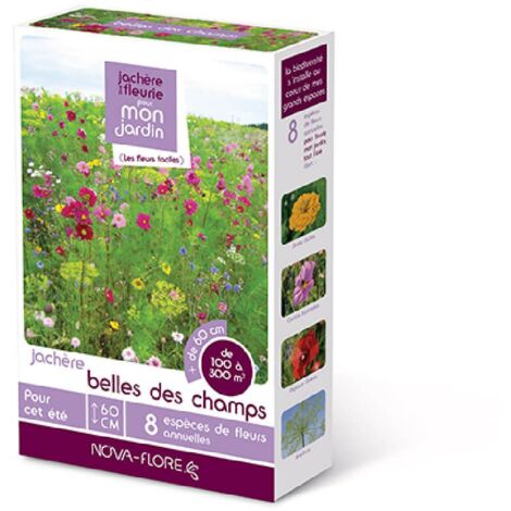 Mélange de fleurs prairies fleuries 100 m² – Fleurs annuelles et vivaces – Semis de mars à juin – Floraison 3 mois – Achat Nature
