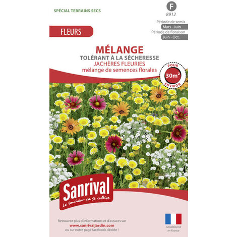 Mélange de graines Tolérance Sècheresse