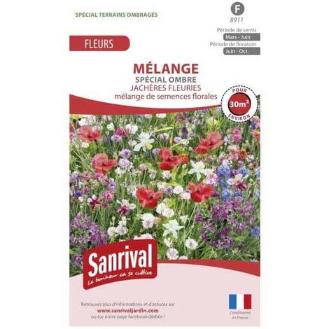 Mélange de graines Vivaces demi-ombre