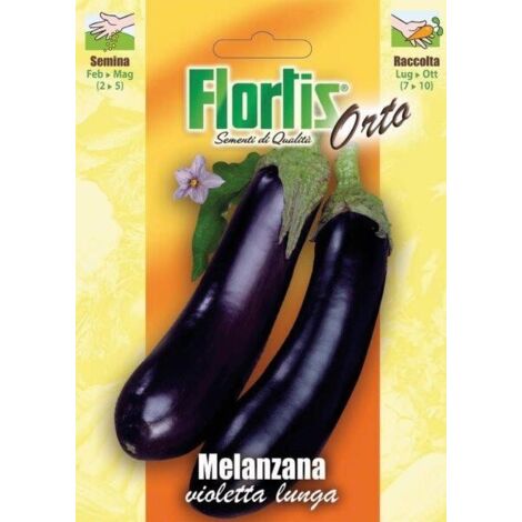 MELANZANA VIOLETTA LUNGA