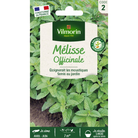 Mélisse Officinale Vilmorin