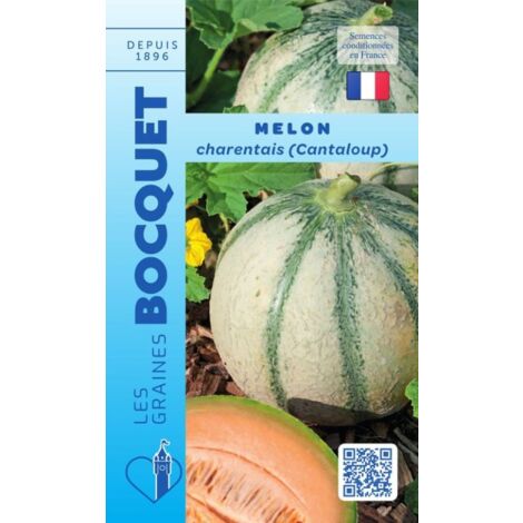 Melon cantaloup charentais 3g – Environ 105 graines non hybrides – Semis de mars à mai – Pour sols riches et en plein soleil – Graines Bocquet