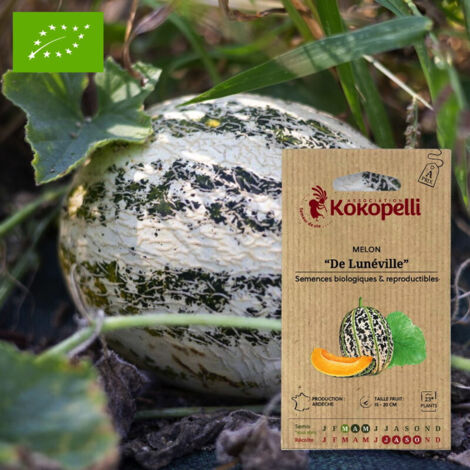 Melon De Lunéville
