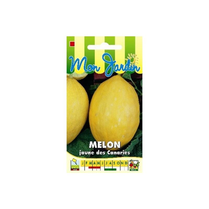 Graines Bocquet - Melon Jaune des Canaries - 3g