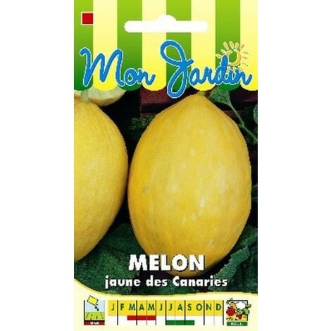 Melon Jaune des Canaries - 3g